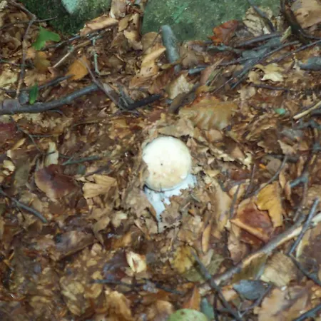 Borgoeden Nocleg ze śniadaniem