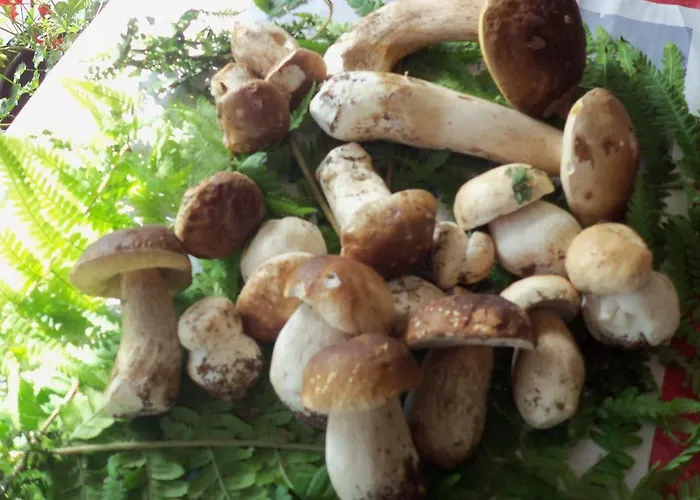 Bed & Breakfast Borgoeden 3*