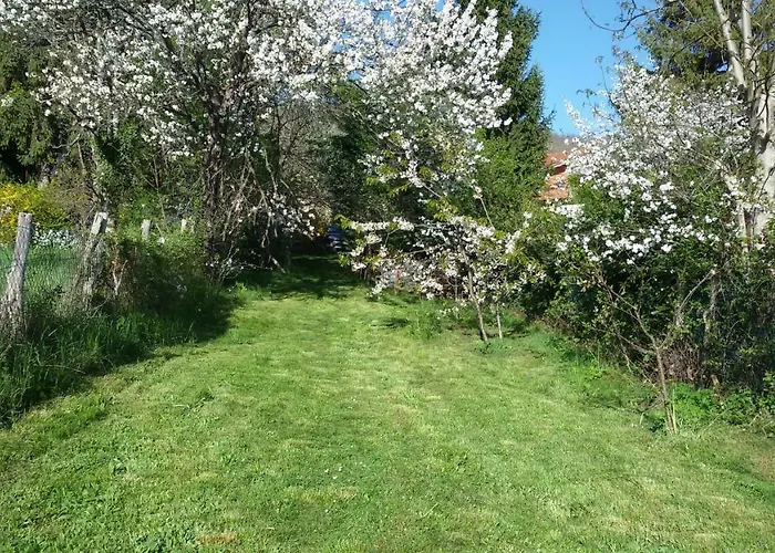 Nocleg ze śniadaniem Borgoeden 3*